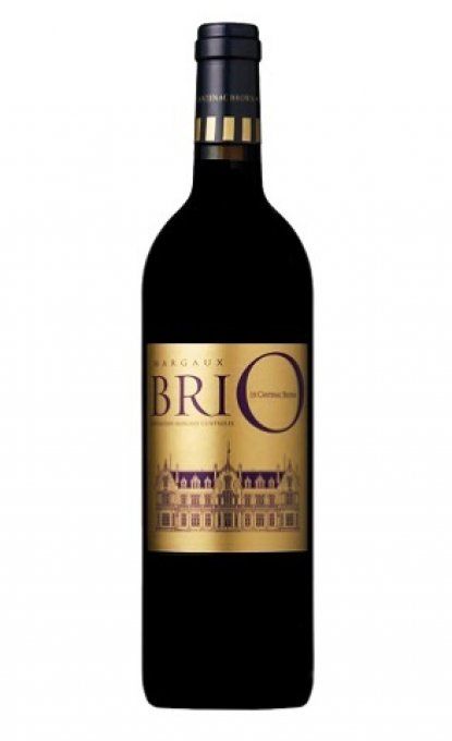 Bouteille de Brio de Cantenac Brown AOC Margaux