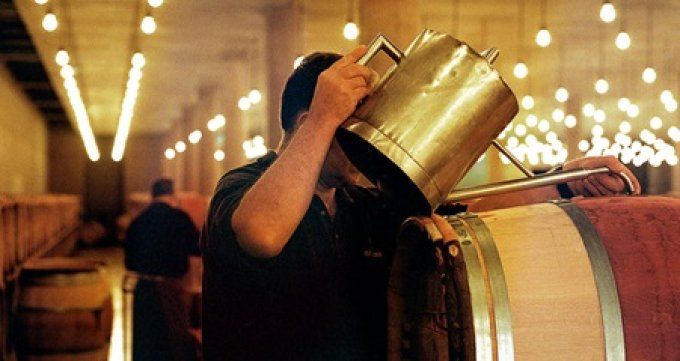 Château Latour, Premier Cru Classé AOC Pauillac - ouillage des barriques dans le chai