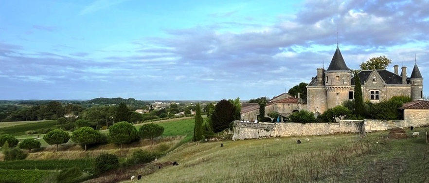 A beautifull vineyard under biodynamic and organic practices